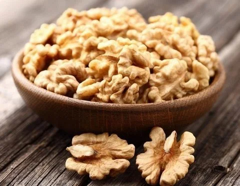 Walnut manufacturer in india