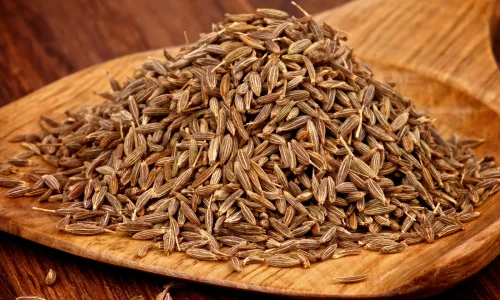Cumin-Spice