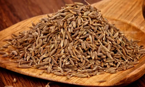 Cumin-Spice