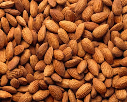 Almond manufacturer in India