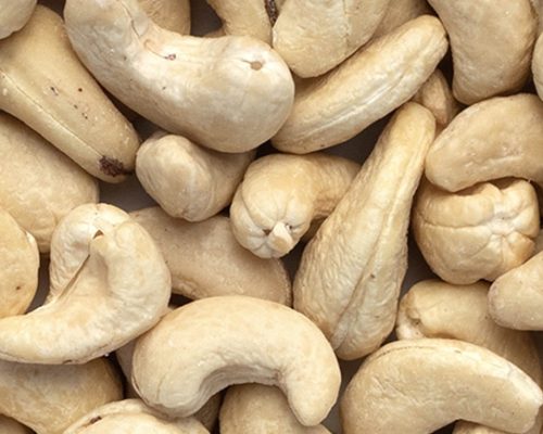 Cashew Manufacturer in India