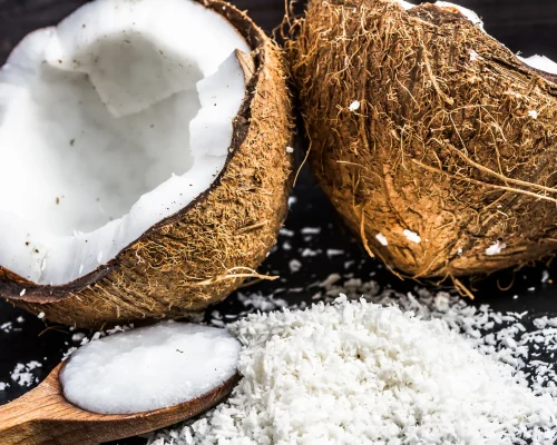 Coconut Manufacturer in India